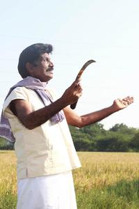 Stills from 49-O Tamil Movie Starring Goundamani