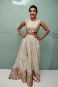 Priya Anand at Oru Oorla Rendu Raja audio launch - 5